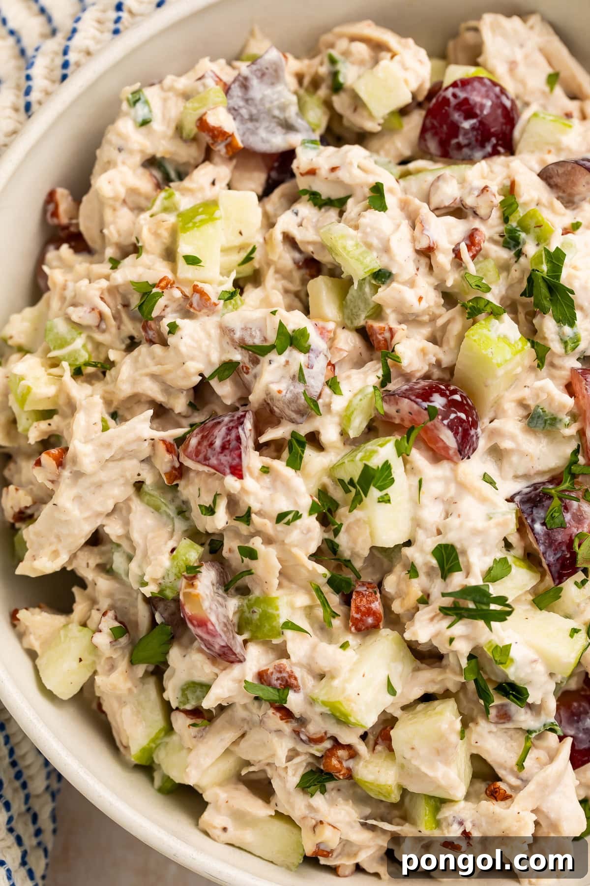 Wholesome Protein-Packed Chicken Salad 4 Overhead view of chicken salad in white bowl showing chunks of chicken, red grapes, apples, and pecans
