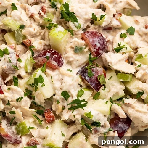 Close up view of high protein chicken salad with grapes, apples, pecans, and fresh parsley in white bowl
