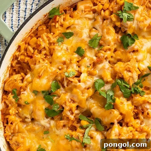 One pan Mexican chicken and rice in a large skillet garnished with fresh cilantro leaves.