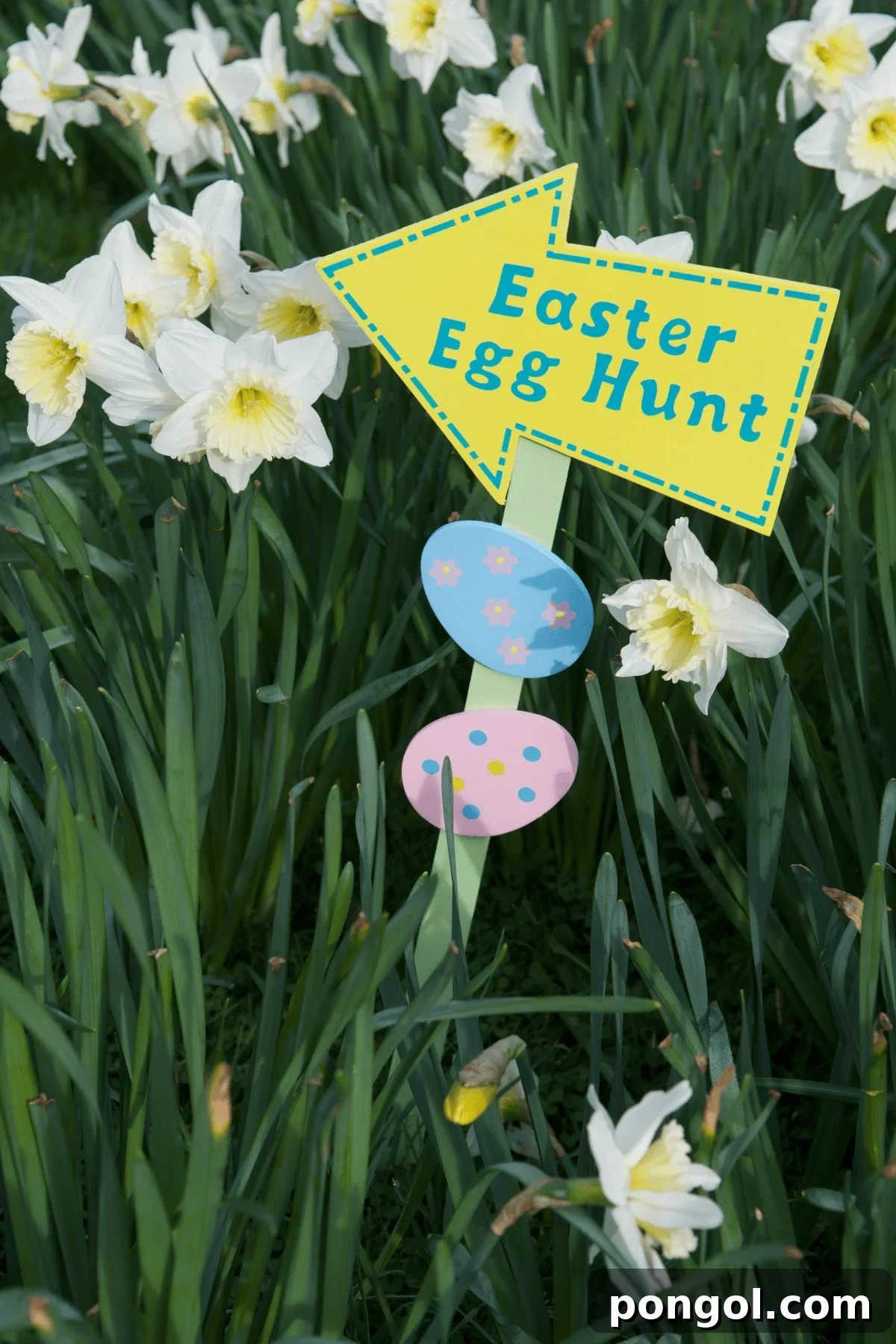 Easter Feasts Gifts and Fun Your Complete Celebration Guide 18 A charming yellow Easter egg hunt directional sign amidst blooming white daffodils in a spring garden, setting the scene for a festive hunt.