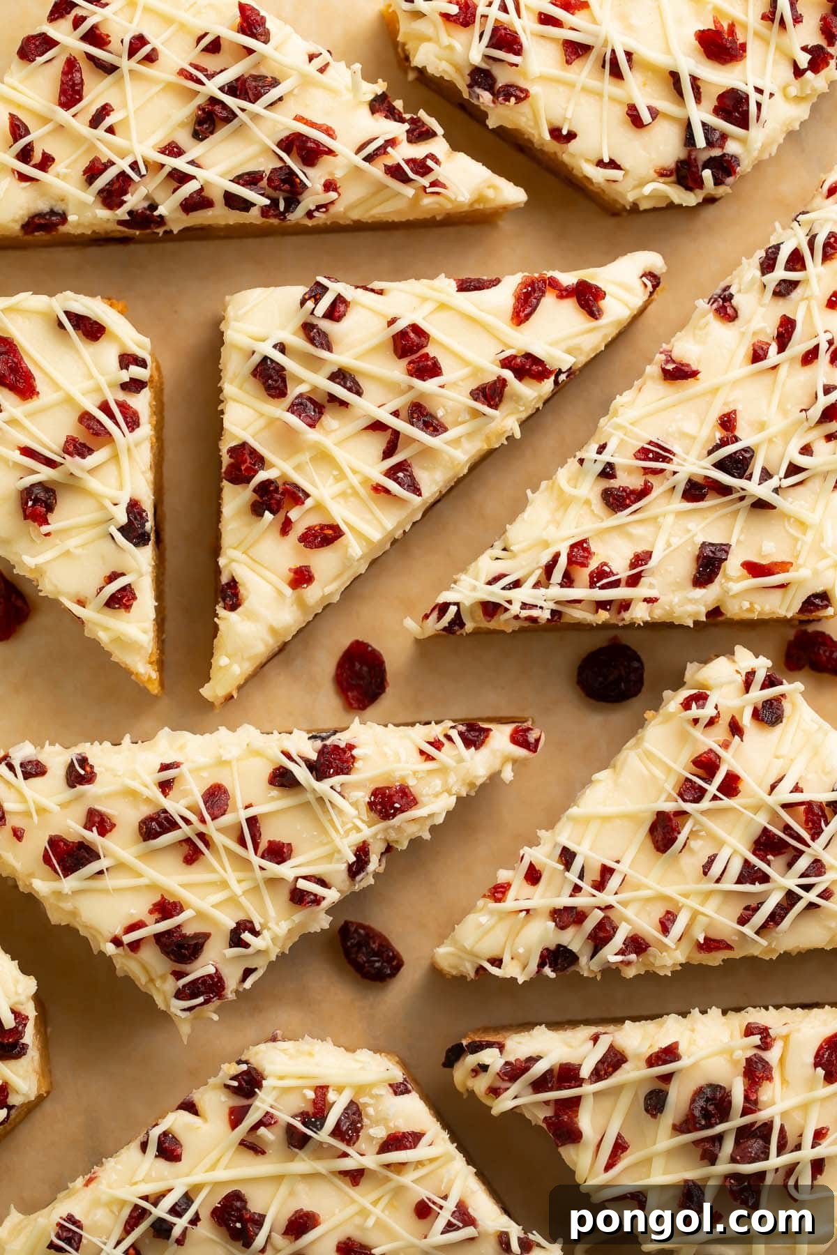 Frosted Cranberry Delights 4 Close-up of the textured cream cheese frosting and white chocolate drizzle on Cranberry Bliss Bars.