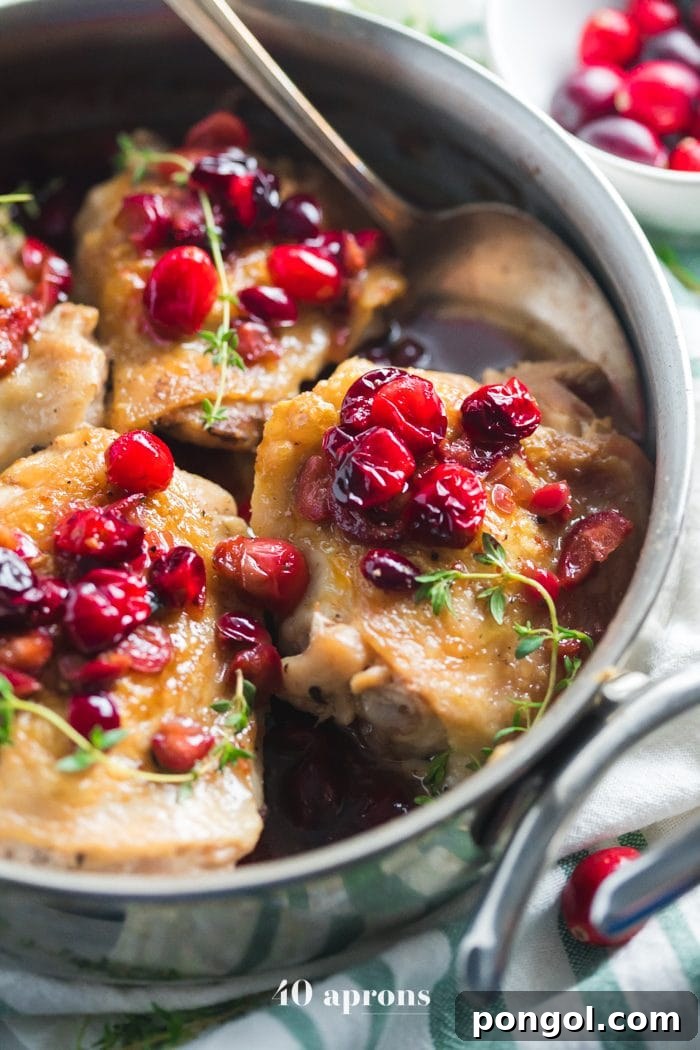 A serving of Whole30 Cranberry Chicken on a rustic plate, topped with rich cranberry sauce and fresh thyme.