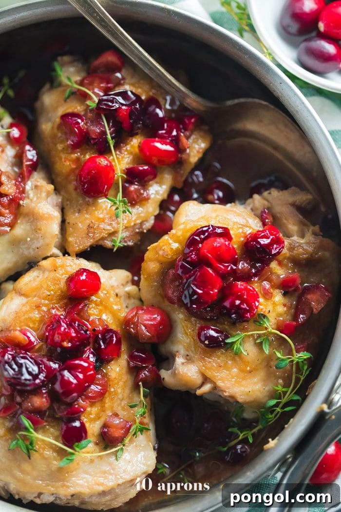 A large oven-safe skillet filled with crispy Whole30 Cranberry Chicken thighs and roasted cranberries, fresh out of the oven.