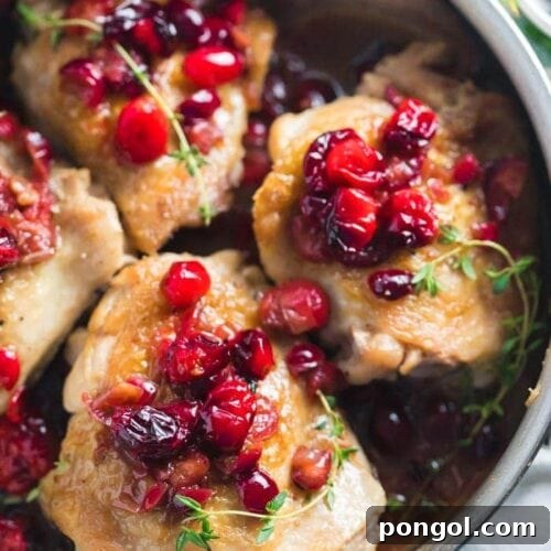 A beautifully presented Whole30 Cranberry Chicken thigh with sauce and fresh thyme garnish.