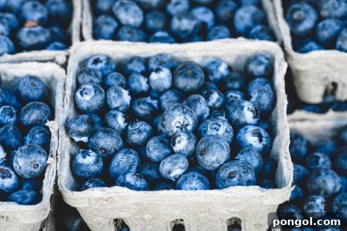 Thrifty Whole30 Your Wallet Friendly Guide 3 Farmers market blueberries – perfect for Whole30 and budget-friendly when in season