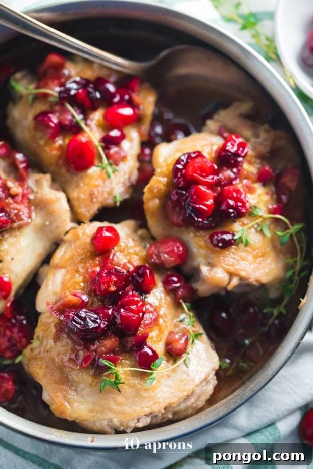 Cranberry Chicken