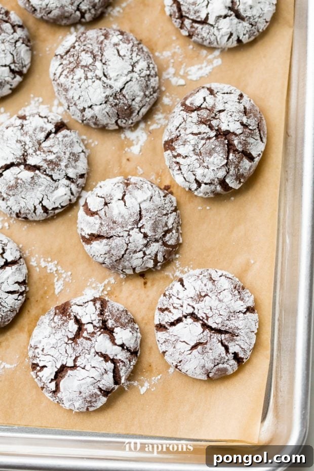 Paleo Gluten-Free Crinkle Cookies
