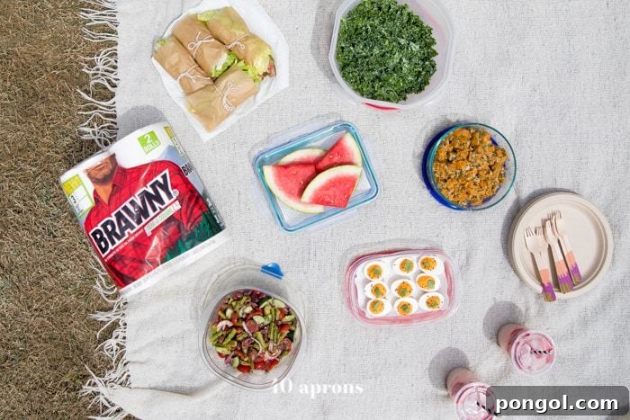 A vibrant Whole30 picnic spread laid out on a blanket, featuring various healthy dishes and fresh fruit, with Brawny Tear-A-Square paper towels visible nearby.