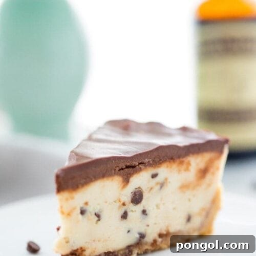 Slice of vegan no bake cookie dough cheesecake on a plate