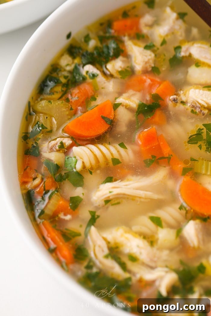 Close up of a steaming bowl of Instant Pot Chicken Noodle Soup with tender chicken, noodles, carrots, and celery.