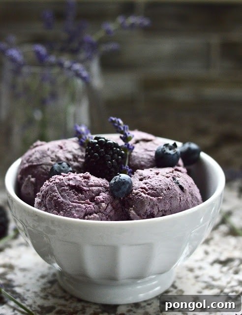 Paleo double berry coconut ice cream, a luscious dairy-free dessert with mixed berries.