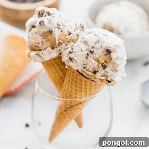 Wholesome Paleo Vegan Cookie Dough Ice Cream 8 Two cones of paleo cookie dough ice cream