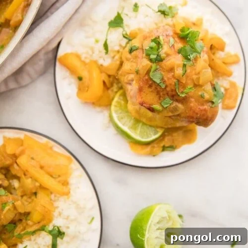 Coconut curry turmeric chicken on a plate with cilantro garnish and a lime to the side