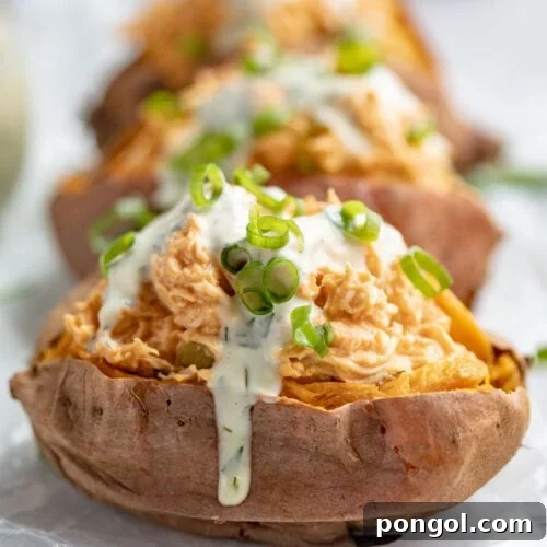 Buffalo chicken stuffed sweet potatoes topped with ranch dressing and green onions.