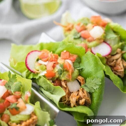Three paleo chicken tacos in a taco holder served in lettuce wraps topped with avocado crema, pico de gallo, and radishes