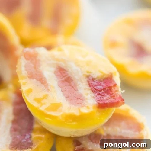 Healthy Sous Vide Egg Bites with Bacon