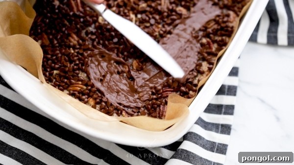 Spread melted chocolate chips with a knife