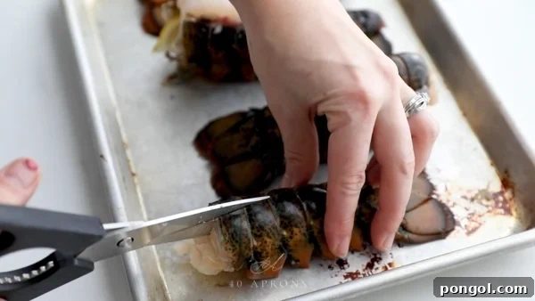 Cut down the tail to the fin