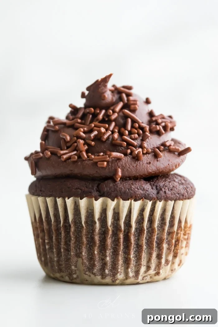 Frosted chocolate paleo cupcake with dark chocolate frosting in a swirl topped with chocolate jimmies