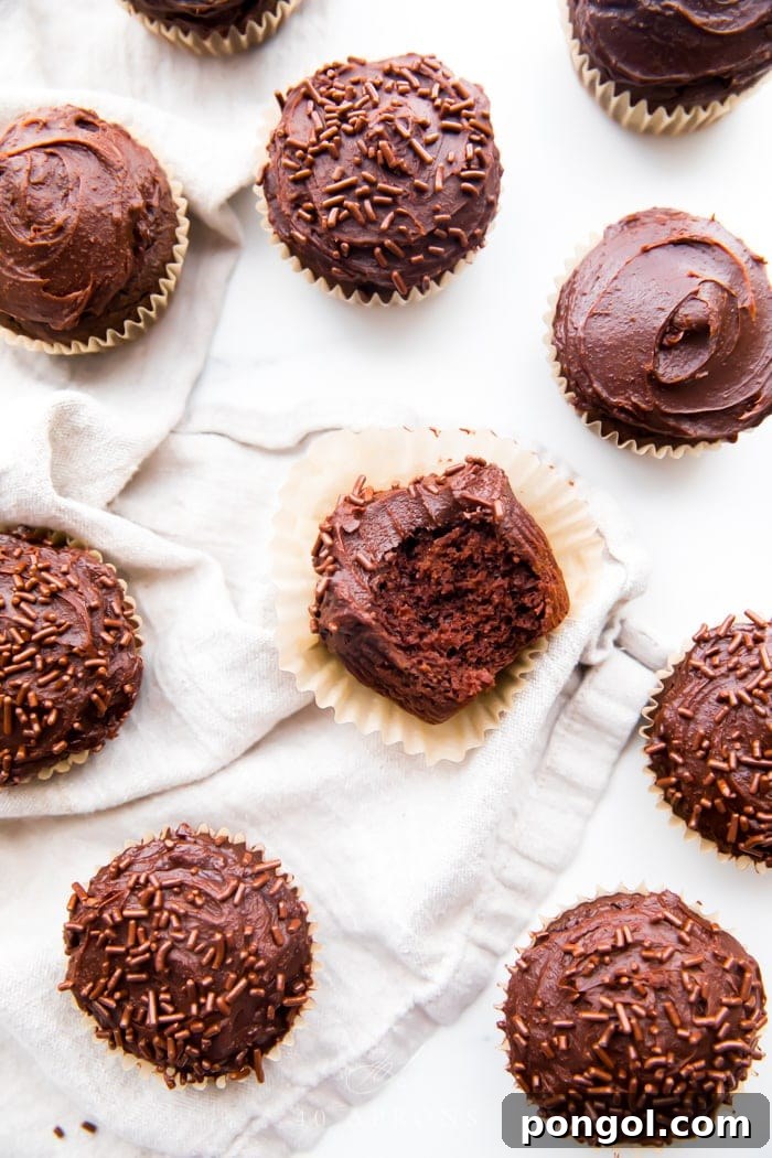 Overhead shot of many chocolate paleo cupcakes frosted with dark chocolate frosting and one bite taken out of one