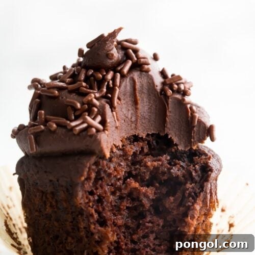 Closeup of chocolate paleo cupcake frosted with dark chocolate frosting with a bite taken out