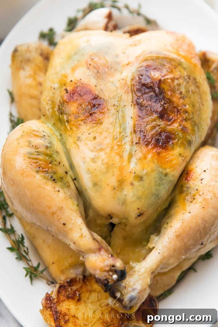 A whole chicken with golden skin on a white plate with fresh thyme and roasted garlic
