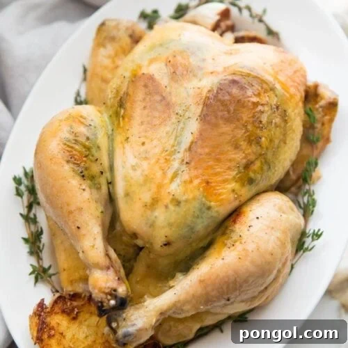 A slow cooker whole chicken with herb garlic butter visible under the skin on a plate with herbs and garlic