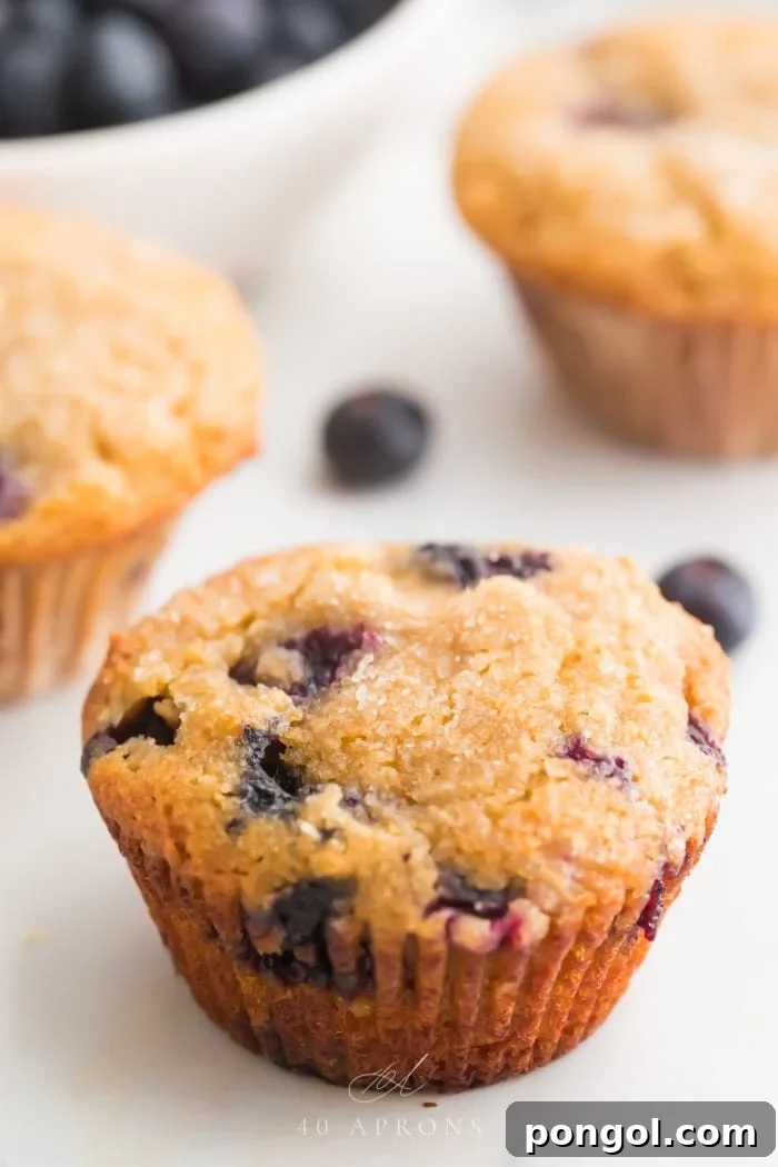 A single paleo blueberry muffin in the foreground with other muffins and a bowl of fresh blueberries blurred in the background.