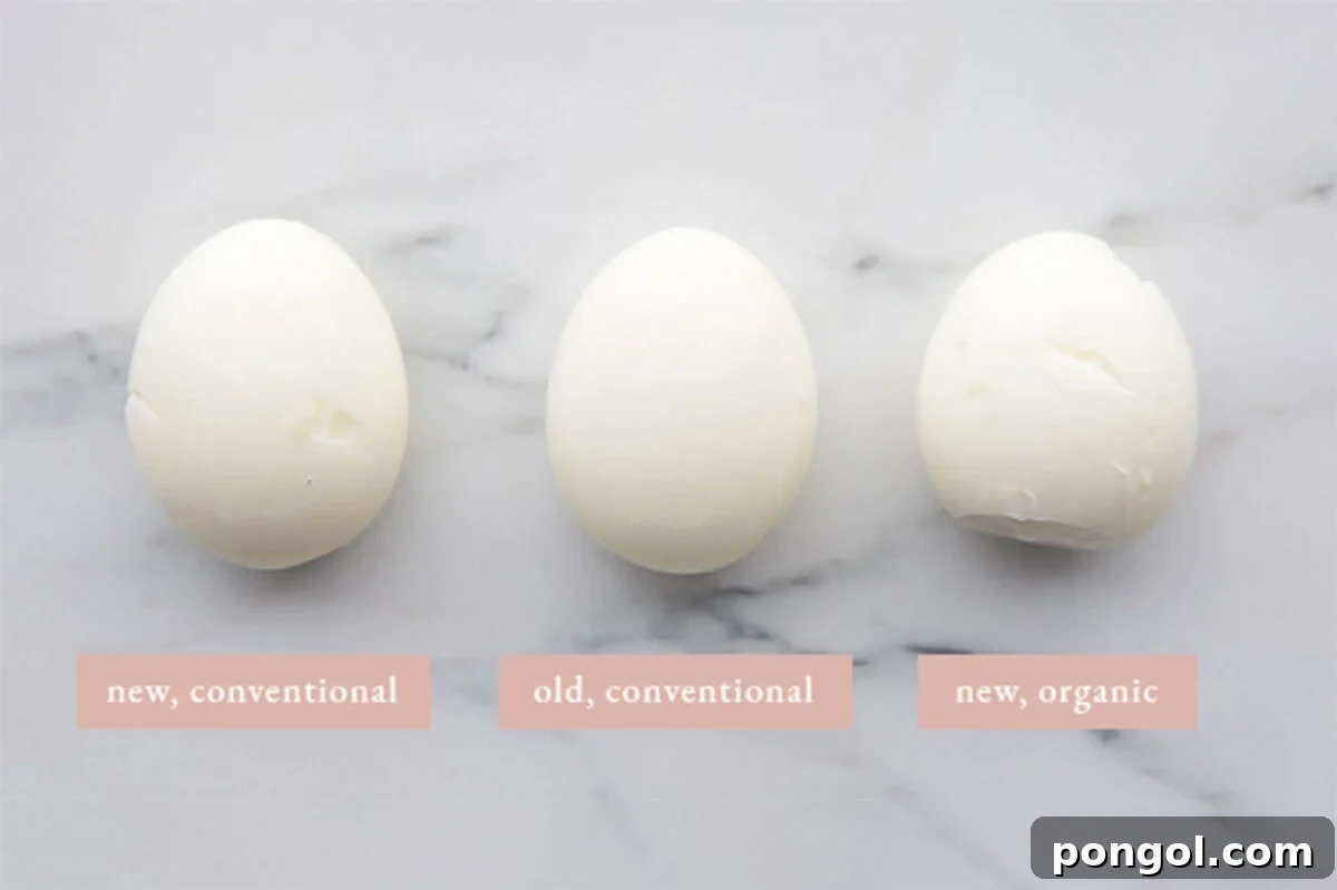 Comparing old, new, and organic boiled eggs.