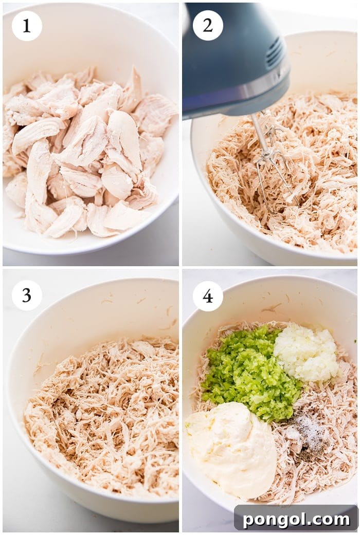 Shredded chicken salad recipe instructions