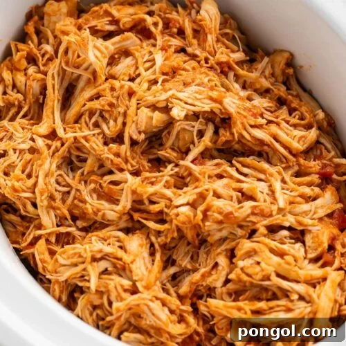 Shredded Mexican chicken in a white slow cooker on a kitchen counter.