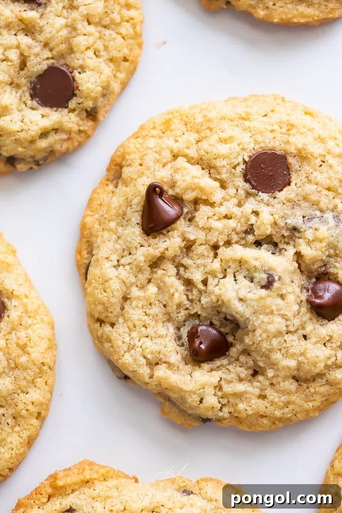 Close up of Almond flour chocolate chip cookies, showcasing their golden-brown edges and molten chocolate chips