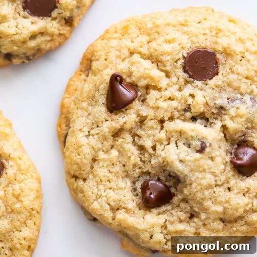 Close up of Almond flour chocolate chip cookies