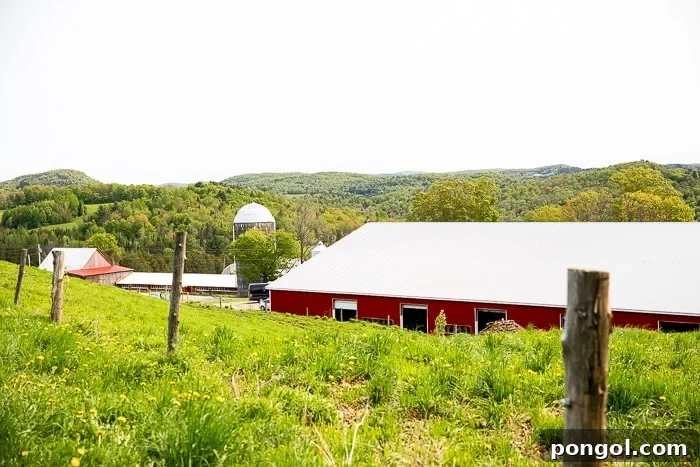 A classic Vermont landscape featuring a rustic red barn and silo nestled amidst rolling green hills, bathed in golden sunlight.