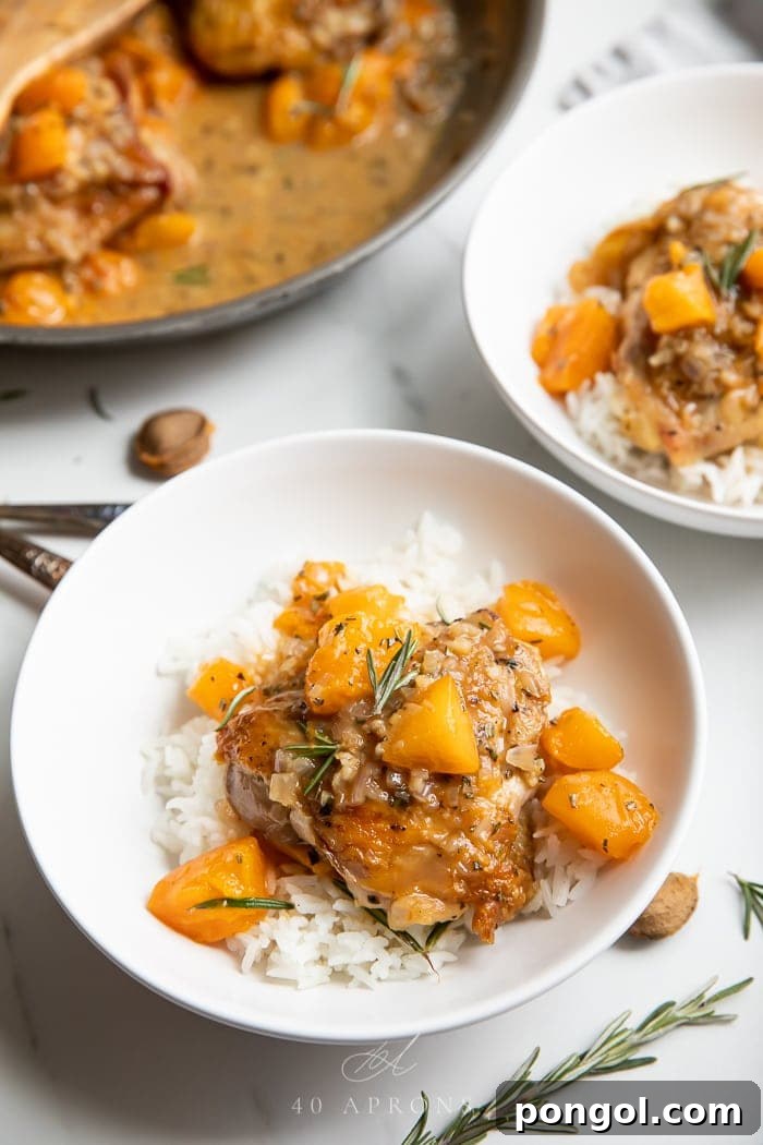 Two white bowls filled with apricot chicken served over white rice, garnished with fresh herbs, ready to eat.