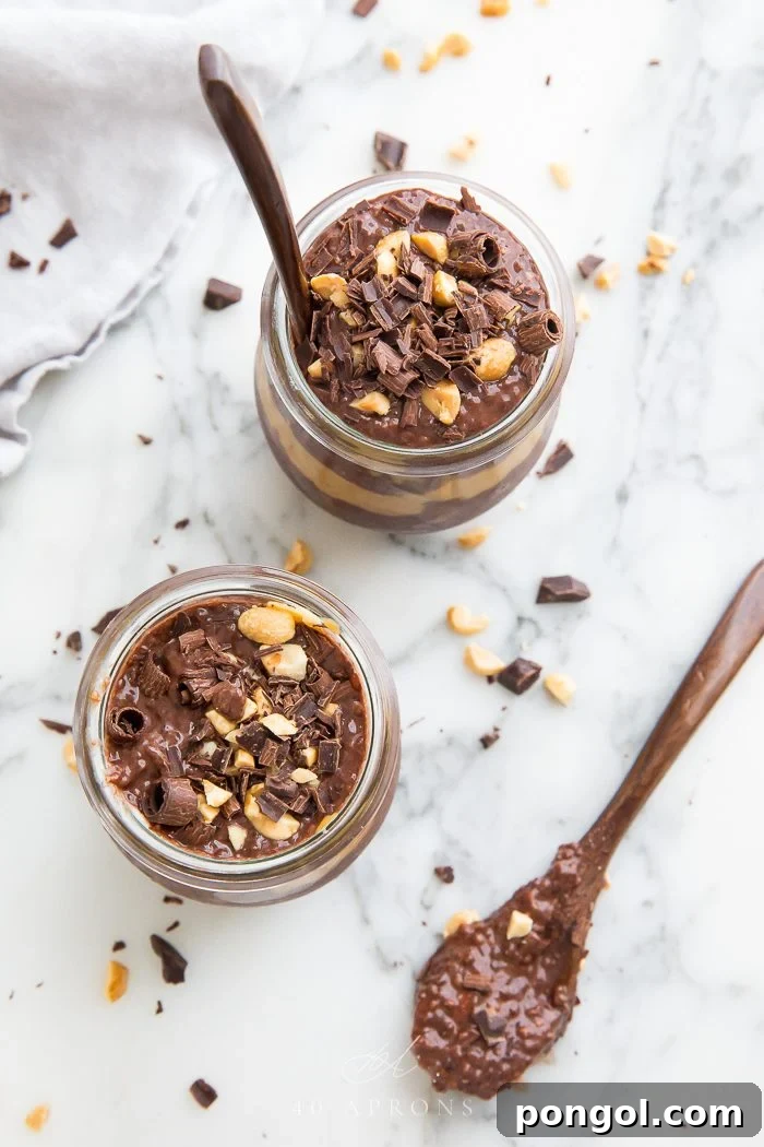 An inviting top shot of two glass jars filled with peanut butter chocolate chia pudding, garnished with toppings, with two spoons placed beside them on a dark background.