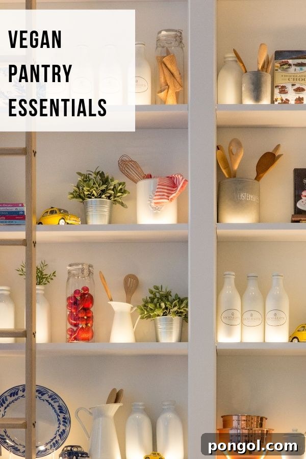 A neatly organized vegan pantry featuring shelves stocked with jars of legumes, grains, nuts, and spices, with a small wooden ladder leaning against them.