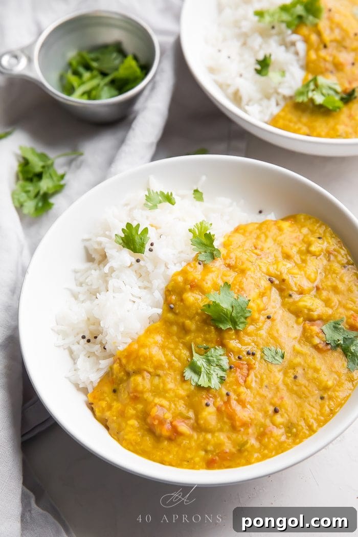 Indian Dal garnished with fresh herbs and served with a side of basmati rice