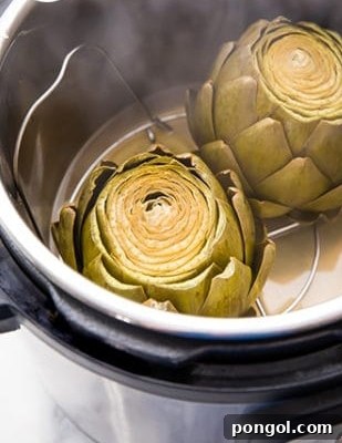 Steamed artichokes freshly cooked in the Instant Pot