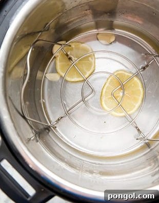 Lemon slices and water in an Instant Pot with a trivet inserted