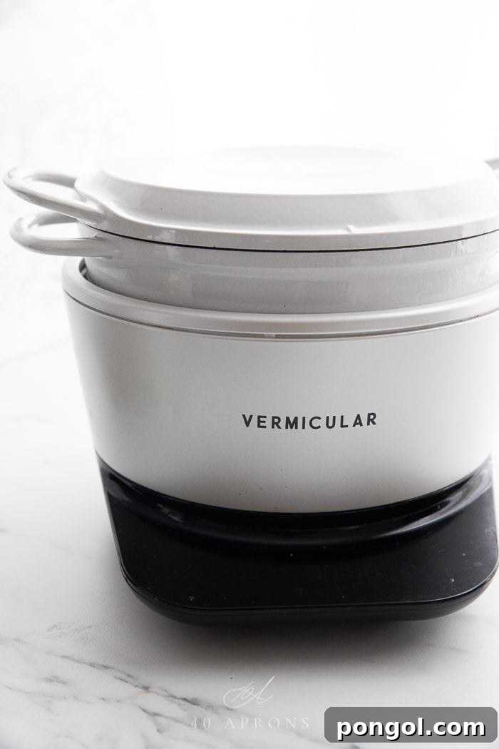 Photo of Vermicular Musui–Kamado 