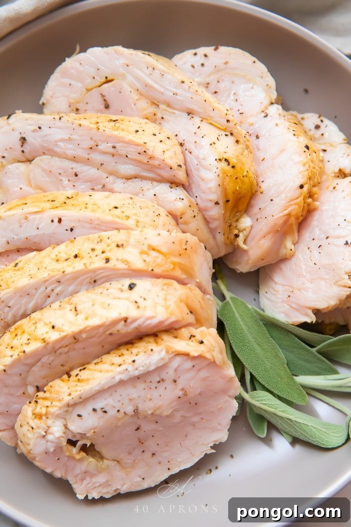 Close up of sous vide turkey slices