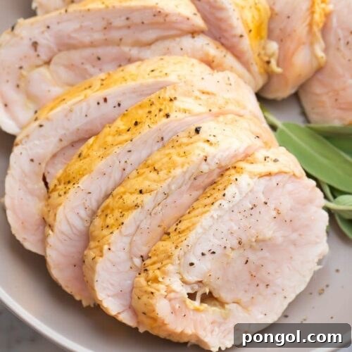 Close up of sliced sous vide turkey breast