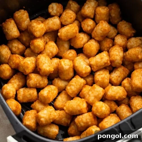 Golden, crispy tater tots in a black air fryer basket.