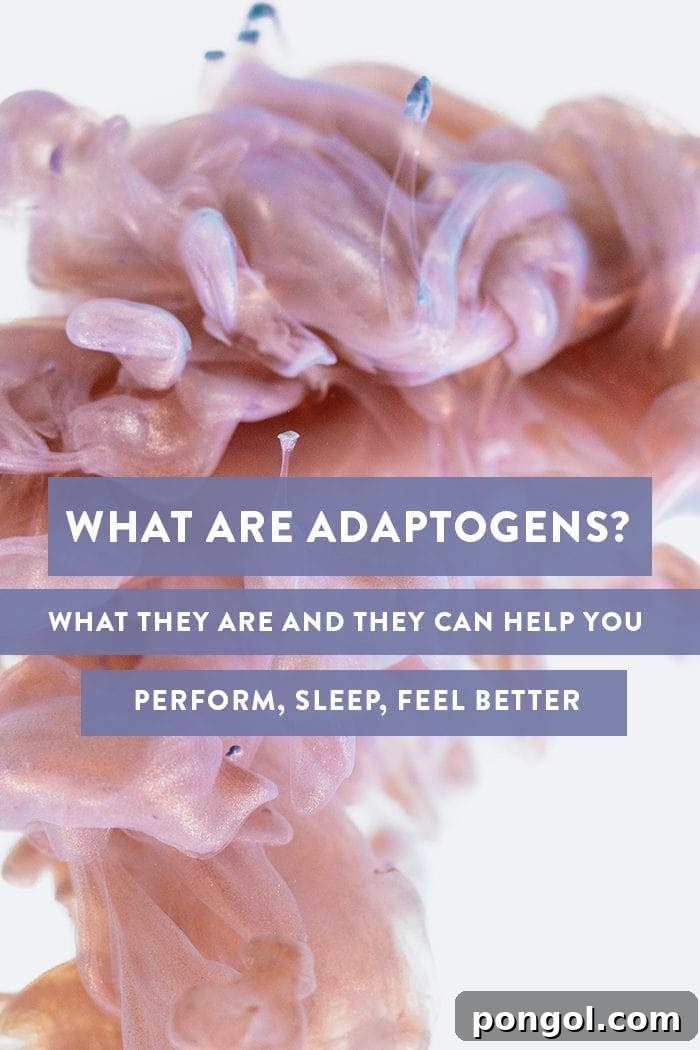 Discover the power of adaptogens for fighting anxiety, insomnia, and stress. Learn what they are, how they work, and the best ones to try for natural wellness.