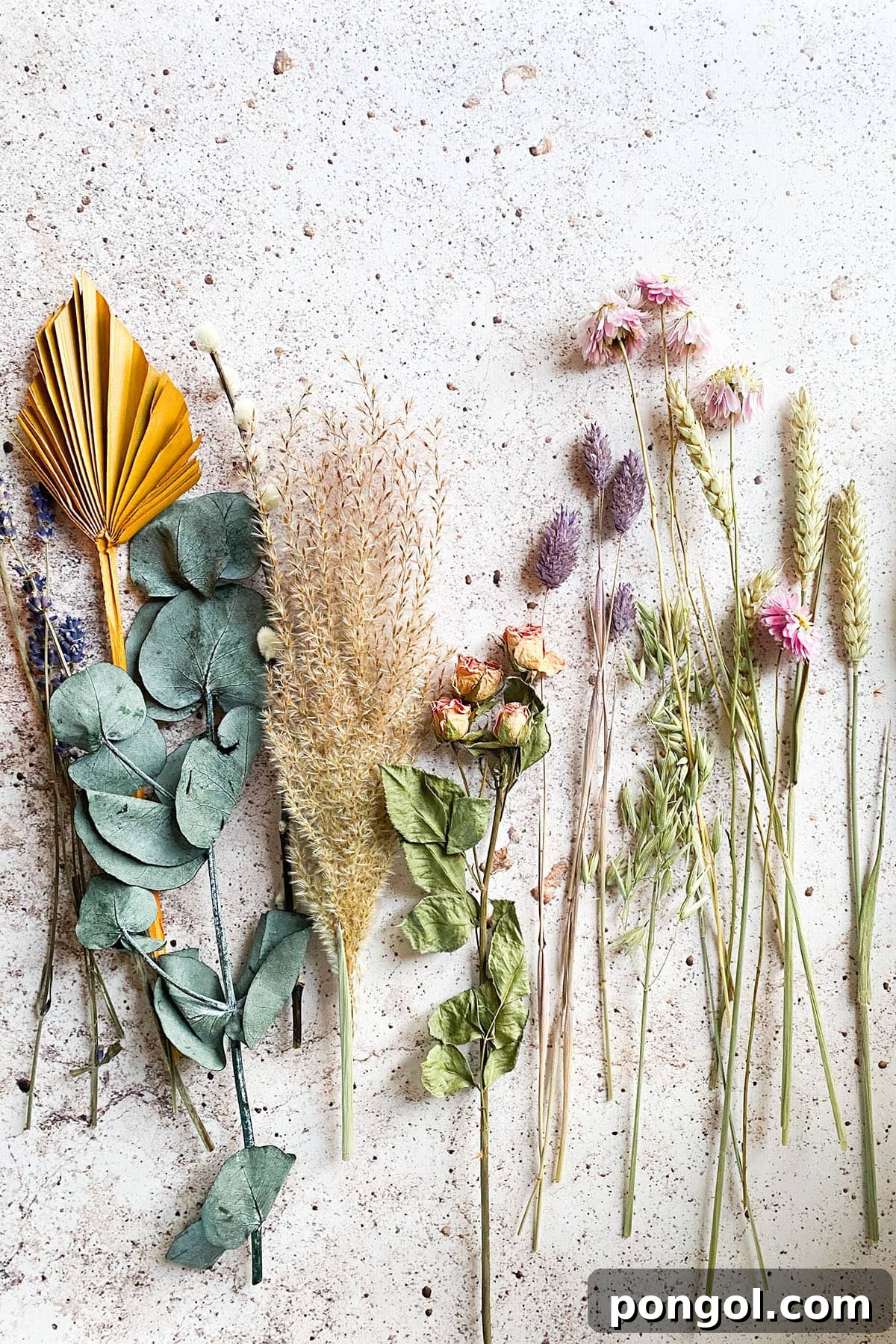 A vibrant image of fresh herbs and plants neatly arranged on a neutral table, highlighting the natural essence of adaptogens.