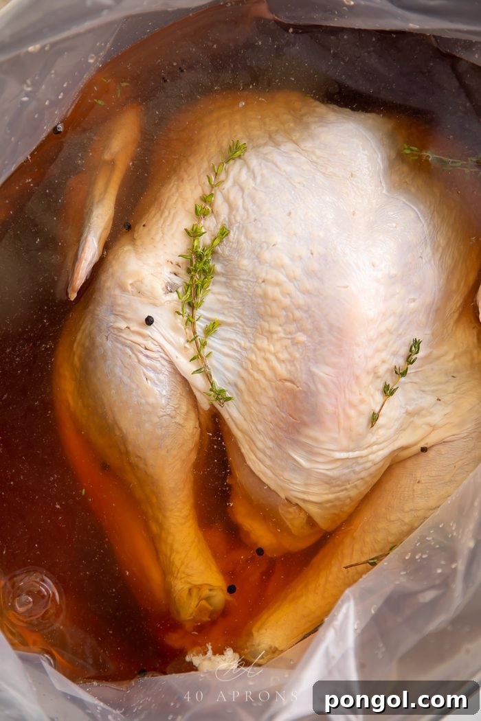 Close up of a turkey brining in a large container, showcasing the clarity of the brine