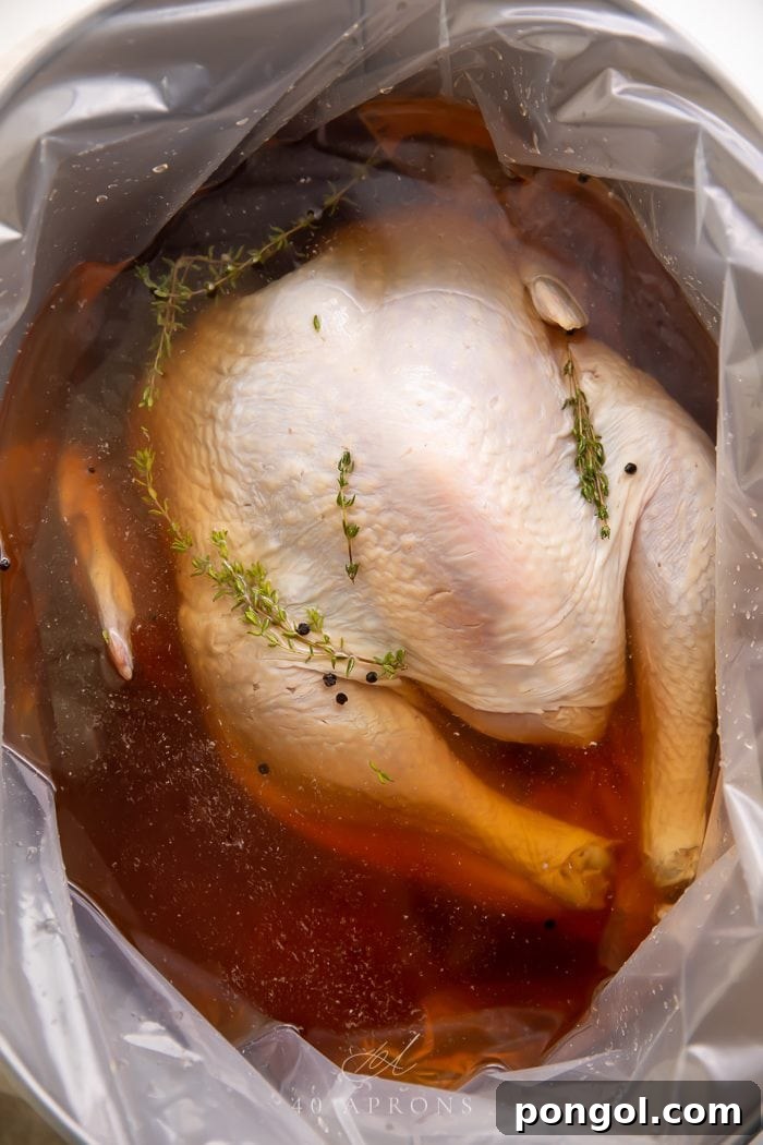 A turkey submerged in a clear brining solution in a large, food-safe container