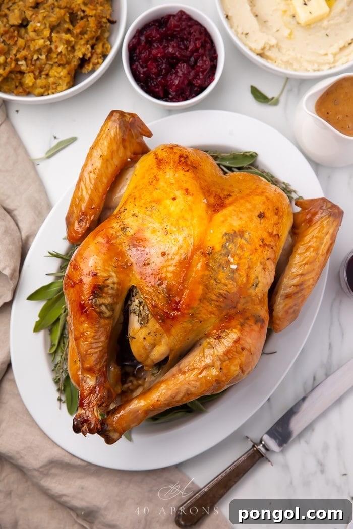 A beautifully roasted turkey, golden brown and garnished, on a platter after being brined