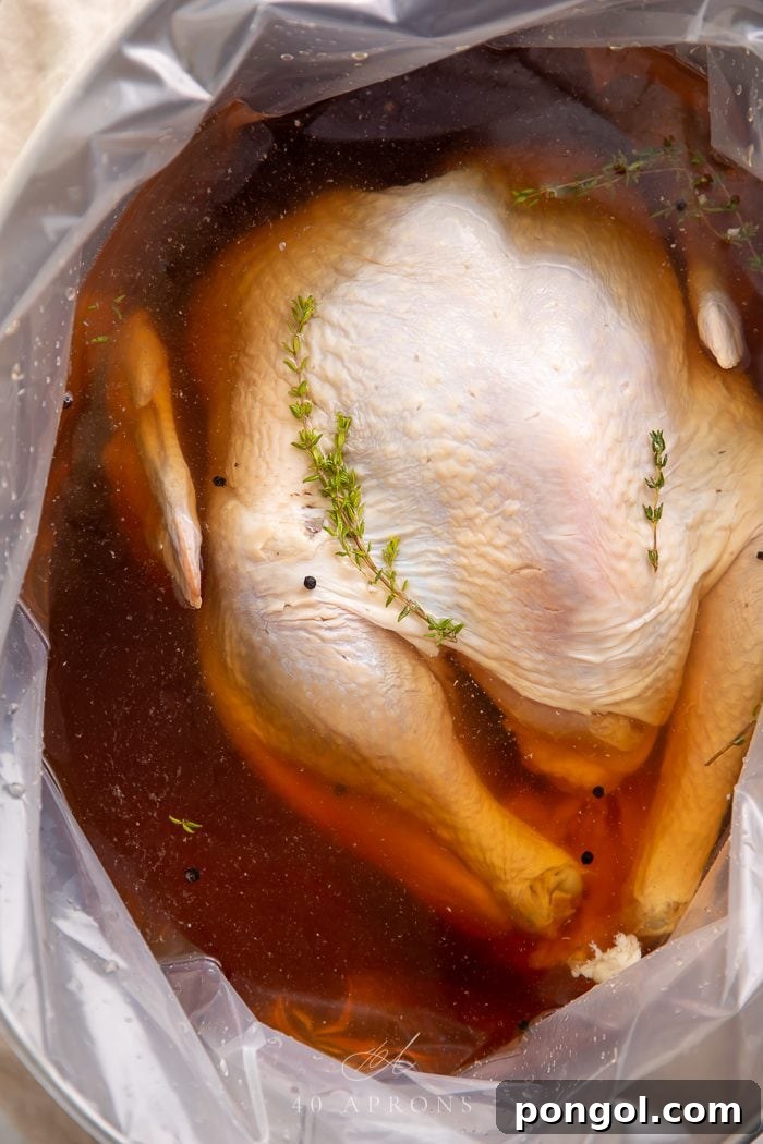 A turkey breast submerged in a flavorful liquid in a transparent container